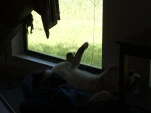 DSCF1508