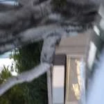 DSCF1581 t