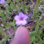DSCF1533 t