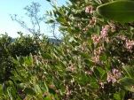 DSCF1257