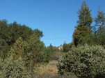 DSCF1254