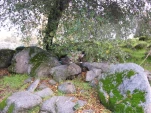 DSCF1243
