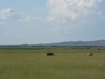 DSCF1825