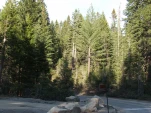 DSCF1745