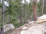 DSCF1767