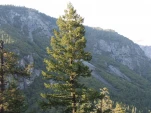 DSCF1755