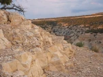 DSCF1849