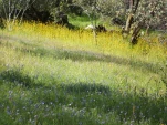 DSCF1488