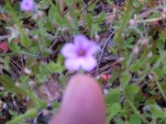 DSCF1533