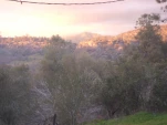 DSCF1308