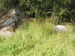 DSCF1485