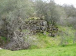 DSCF1303
