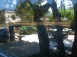 DSCN0234