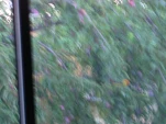 DSCN0213