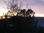 DSCN0315