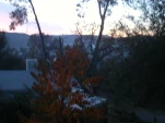 DSCN0311