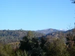 DSCN0374