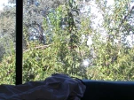 DSCN0219