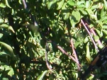 DSCN0217