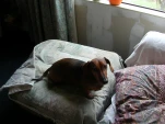 DSCN0335