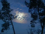 DSCN0365