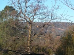 DSCN0366