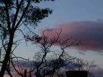 DSCN0377