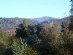 DSCN0375