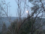 DSCN0382