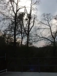 DSCF0206