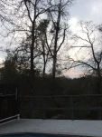 DSCF0207