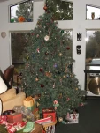 DSCF0377