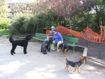 DSCF0274