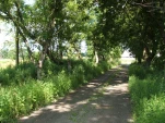 DSCF0984