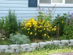 DSCF0954