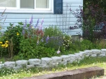 DSCF0955