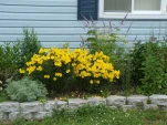 DSCF0945