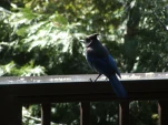 DSCF0858