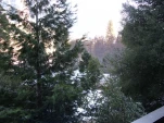 DSCF0856