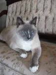 DSCF0934
