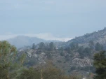 DSCF0396