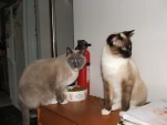 DSCF0383
