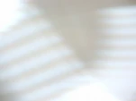 DSCF0811