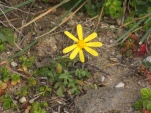 DSCF0649