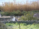 Picture 026