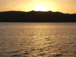Picture 017