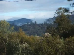 DSCF1215