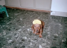 2002