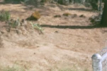 07773 16