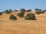 DSCN0411